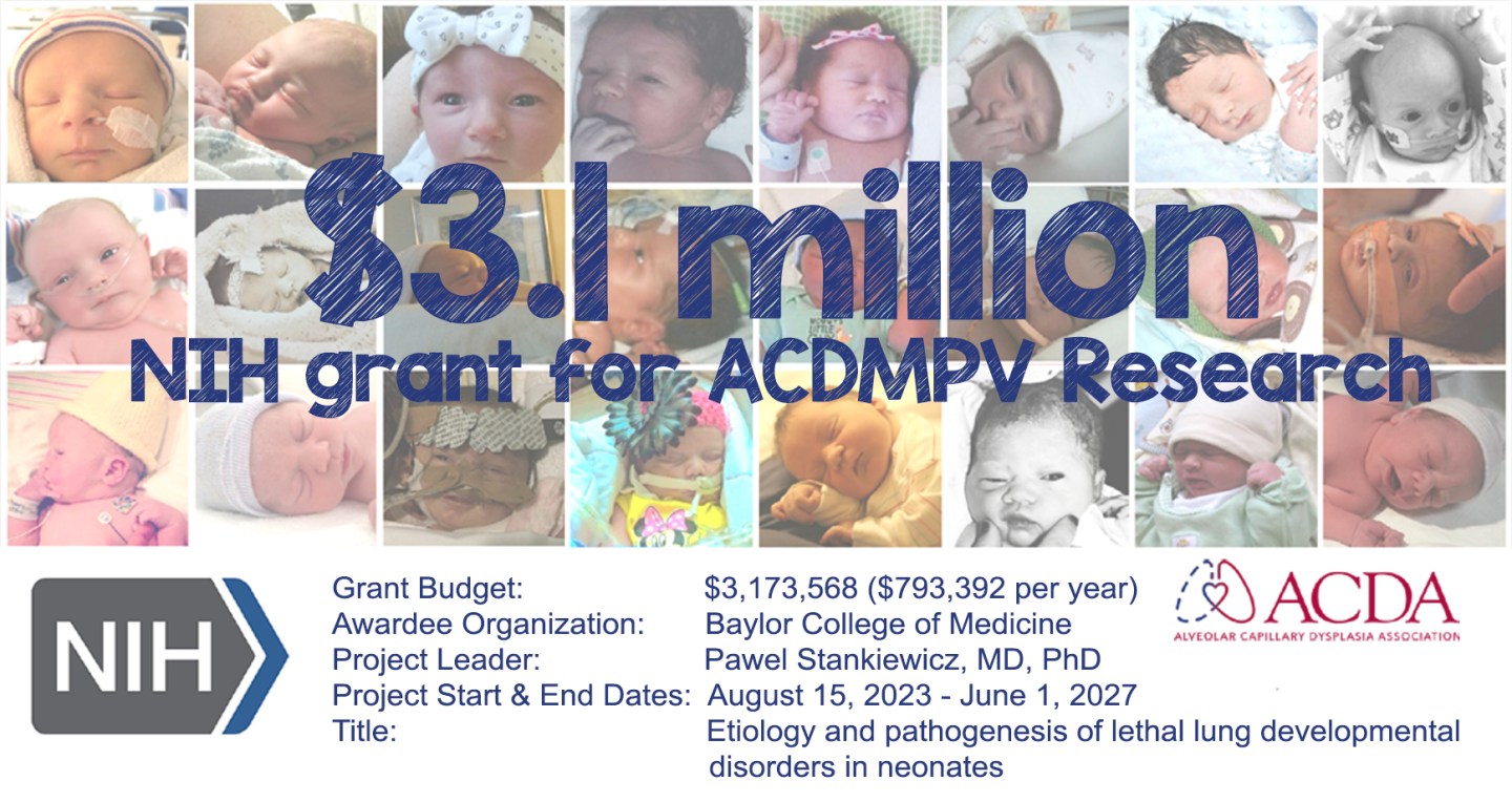 ACD Association | Alveolar Capillary Dysplasia